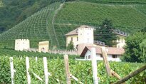 Internationales Gew&uuml;rztraminer Symposion - Tramin Dorf