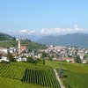 tramin dorfansicht
