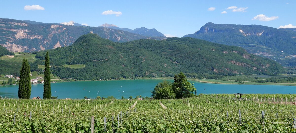 Sommer Saison Kalterer See RS kalterersee von barleit weg aus gesehen
